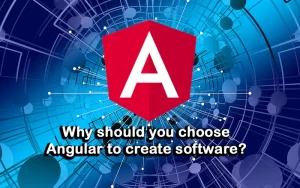 Angular to create software